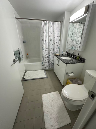 Bathroom - The Brooklyner Apartments
