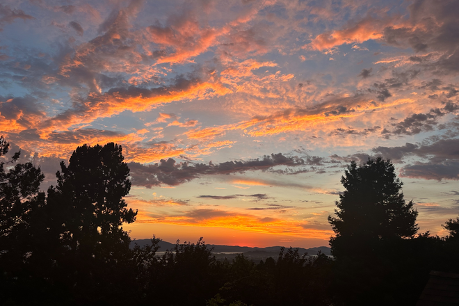 view from window - Airy, furnished room in safe, quiet Berkeley Hills neighborhood with gorgeous view