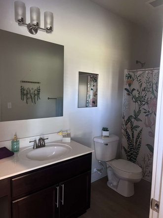 Bathroom - The Rocks Summer Sublease (May-August) Apartments