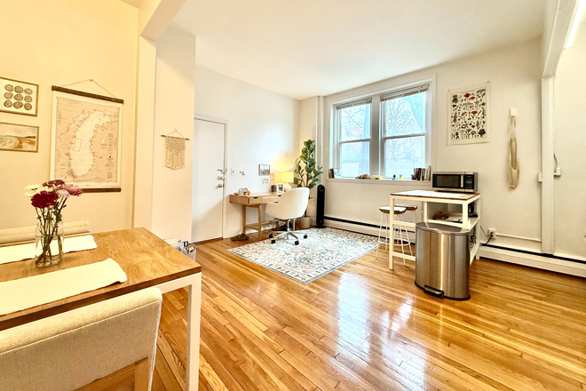 living room - Modern Coolidge Corner 1 bed with updated kitchen - NO FEE! Apartments