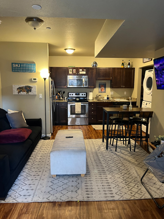 Living Room/ Kitchen - Oak House Apartment (Pricing EXTREMELY NEGOTIABLE) (2 Minute Walk to Campus) Central Hill L