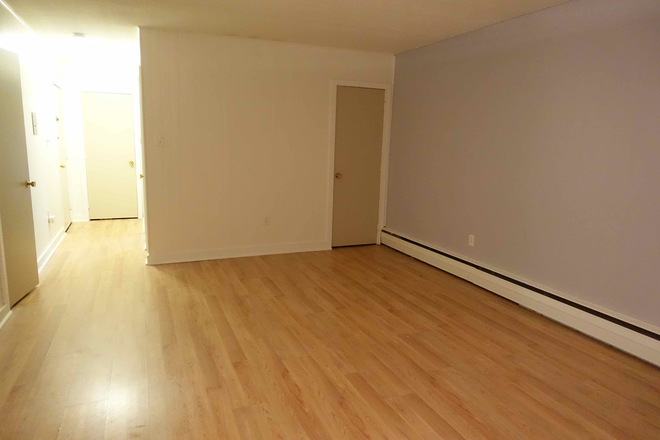 LR/DR, facing closet and entryway - 1 Bedroom Condo betw COOLIDGE CORNER & LMA Area. SUPER CONVENIENT, INCLUDES PRIVATE PARKING. NO FEE.
