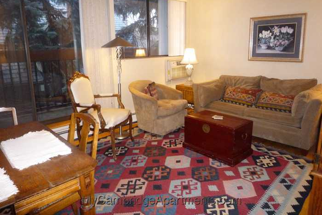 Living + dining room - $1500 Fully Furnished Room in 2BD Condo | Summer Sublet + Option to Extend