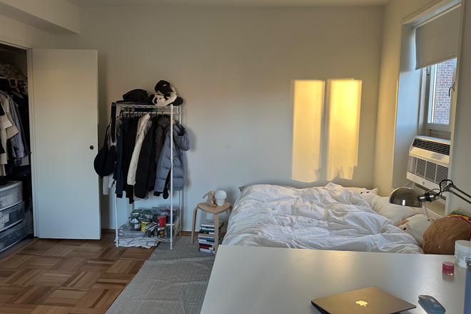 Bedroom; super spacious with good lighting - Bedroom in Stuytown (2/15-6/23)