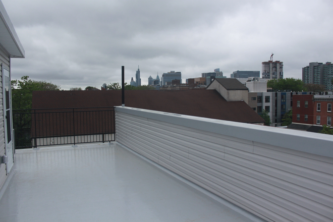 Roof Deck - 407 North Budd Street House