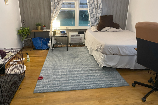 Main Bedroom - Kemper House - 3 Rooms Fully Furnished