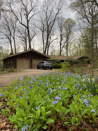 house outside - Beautiful mid-20th century furnished home overlooking river and parkland, 15 minutes from MSU