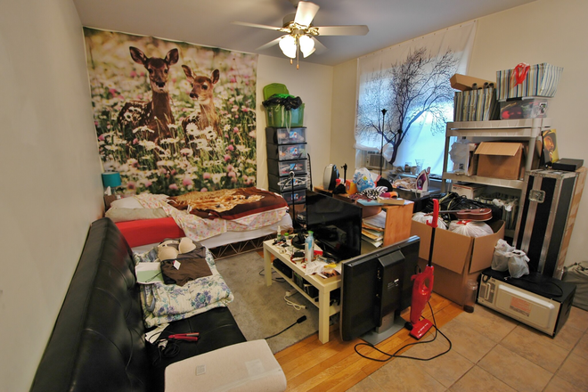 Studio - 24 Haviland St. - NO BROKER'S FEE! COMFORTABLE STUDIO on 24 Haviland St. - Avail 9/01 Apartments