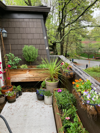 Balcony garden - 2 Bed / 2 Bath Apt for Rent - Harwood Community