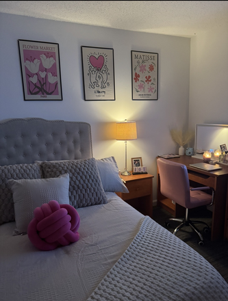 room (comes with closet/bathroom) all other common areas can be seen in video/floorplan - Courtyards Apartments