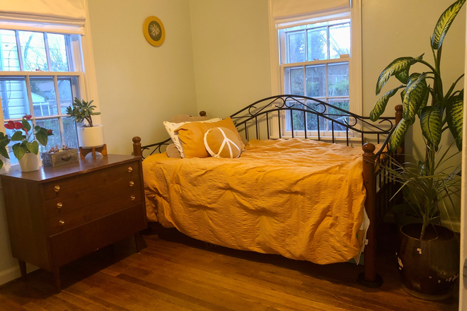 Dresser and bed - Sunny Room in Westover Hills Area House