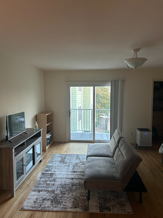 Couch and TV stand - 1203 Wertland Street Apt. 7