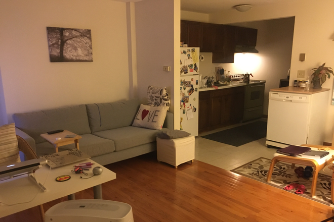 Living Room & Kitchen - Furnished 1 Bedroom Apartment - Entire Unit - Sublet for June, July & August