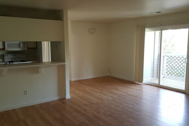 living - University Place at Clemson Apartments