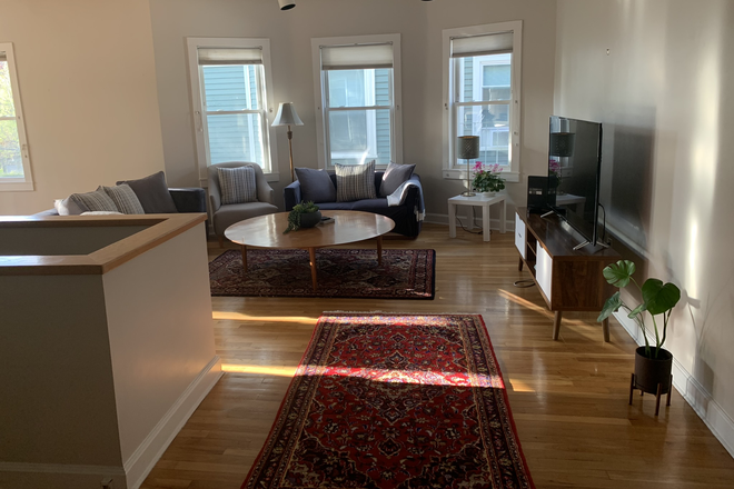 living room - furnished 3-bedroom, 2-bathroom at Harvard Square, with parking, available as of August 1, 2026 Condo
