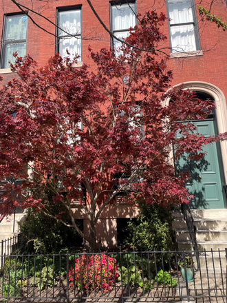 Front door - Owner occupied Bolton St. 3 bd/3.5 bth, 3 flrs, 3,450 sq ft 12' ceilings, original details, updat