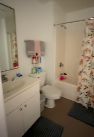 Bathroom - 3102B South Campus Commons #3 Apartments