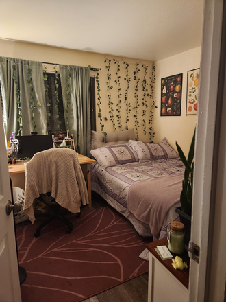 Smaller Bedroom - 60 S Boulder Cir Apt 6036, Bedroom for Rent