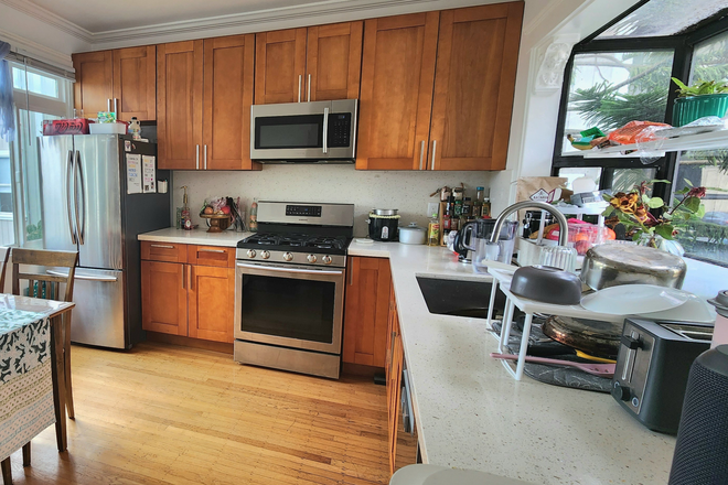 Kitchen - Single room in 3 bed apartment