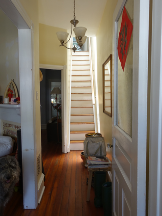 Entry hall - House share with Penn Faculty and 55 lb. muppet dog