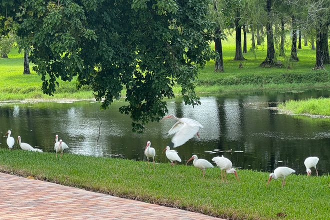 Wildlife at your doorstep - Beautifully Furnished Nature lovers Heaven!