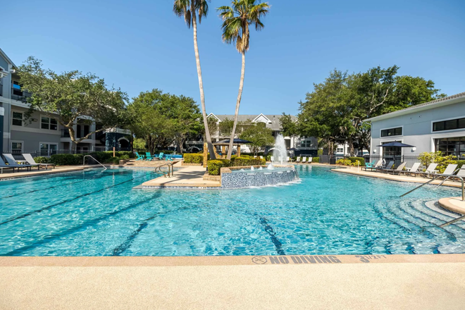 Pool - The Verge Orlando Apartments