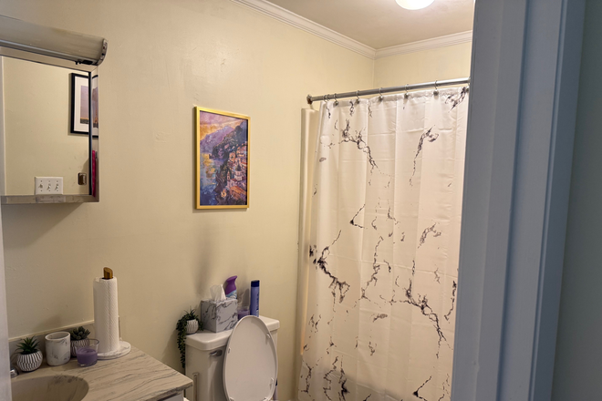 Bathroom - Ivy Gardens Apartment - Perfect for Summer Graduate and Undergrad Students & Faculty