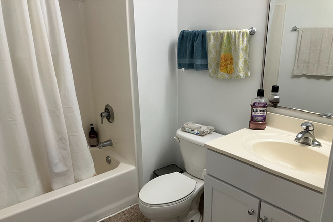 Bathroom - South Campus Commons 2 — Lease Transfer for Spring 2026 Apartments