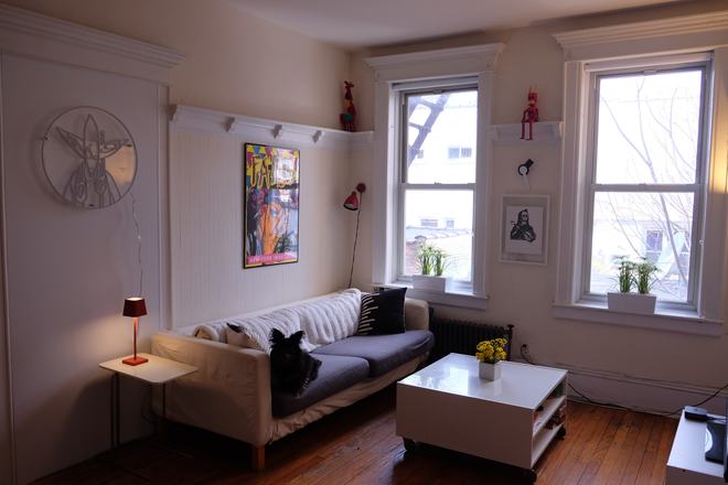 TV Area - Huge Sunny 1 BR Apartment for Rent, Less Than 2 Blocks from Subway, Near all Amenities