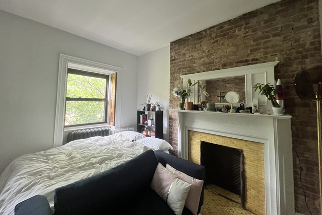 Fireplace - Beautiful Studio Sublet w/ in-unit W/D & dishwasher