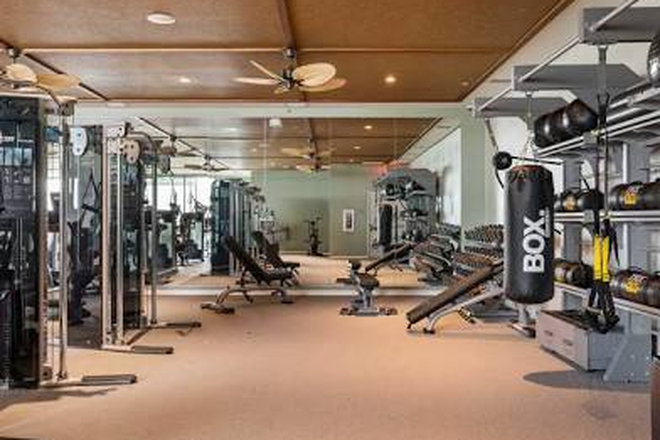 Fitness Center - Hub on Campus Tampa Apartments