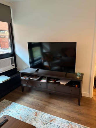 Living Room - Summer Sublet | One-bed Room Apartment