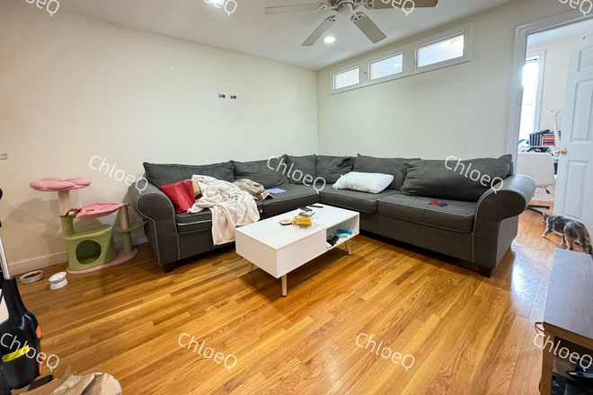 1 - SEPT 2026- Amory 3 bed, SPACIOUS! H/HW inc. No Fee