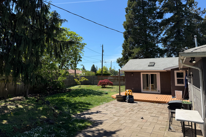 Backyard - Looking for someone to Sublet in the fall House