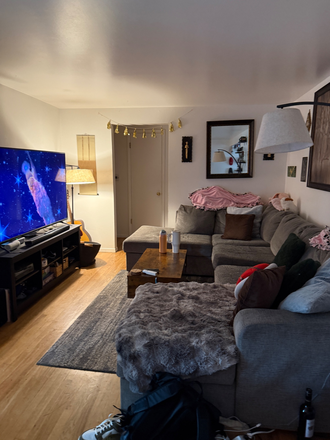 living room - Room sublet in Boulder House