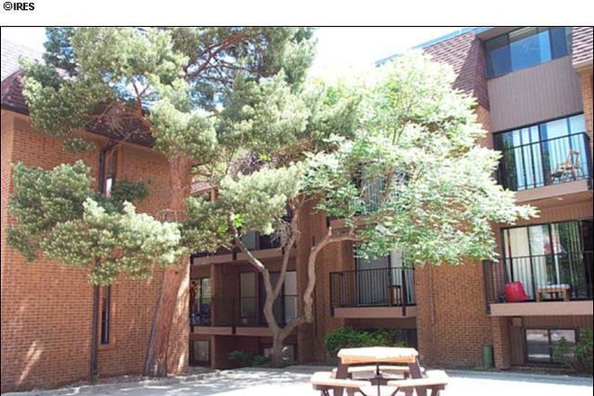 Courtyard - FALL PRE-LEASE  3 BDRM Condo on the Hill