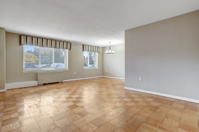Living room area - Remodeled Kitchen & Bath | All Utilities Paid | Cat Friendly | Steps to Clarendon & Courthouse Metro