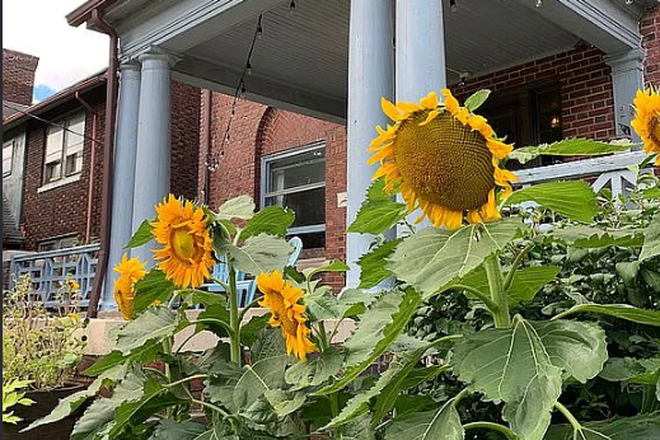 Garden - Fully Furnished! Gorgeous 7 Bedroom Home. 1 min from Campus! Turnkey ready