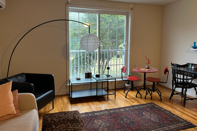 Main studio room - Rugby McIntyre Apartments