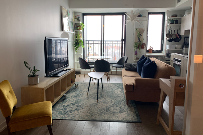 Living room - Furnished 1 Bedroom Condo in the Junction