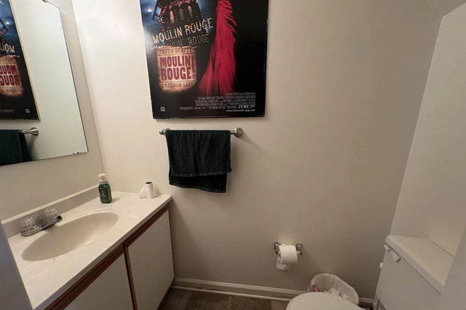 Bathroom 2 - 313 Pheasant Run Court Townhome