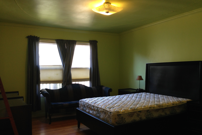 Bed room - walk to USF, close to everything!
