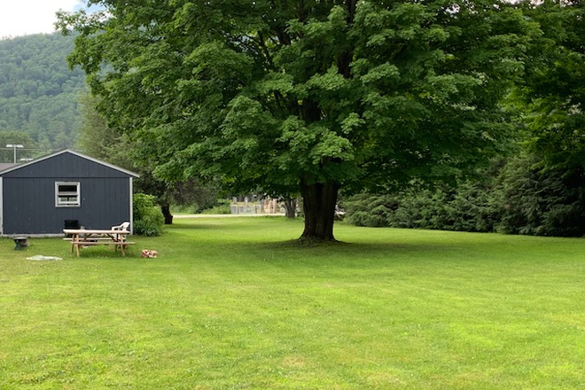 Yard - 266 South Windsor Street Apt. 4