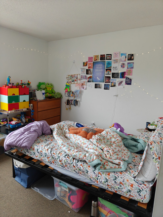 Bed - The Courtyards apartment 4B4B - close to campus