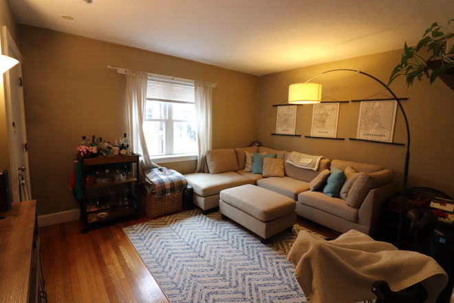 living room - Sunny Brighton 1 bed for July 1st - NO FEE! Apartments