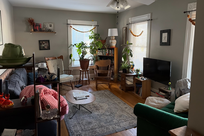Living room - 3 BR Apartment, close to campus, hospital & downtown. 2 off-street parking spaces.