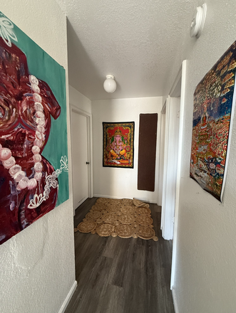 hallway - 18th & Arapahoe Apt 2E