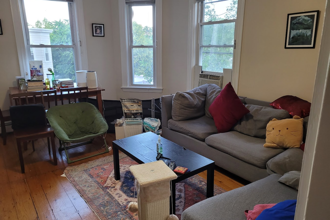 Living room - Room for rent in Cambridge in 3-bedroom 1 bath unit Apartments