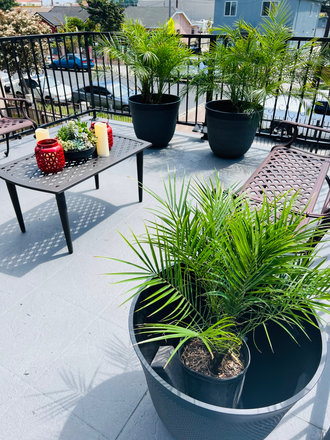 Upper Deck Seating - 🔥 TOP TIER MEDICAL STUDENT HOUSING — 10 Minutes from CDU! 🔥 Duplex