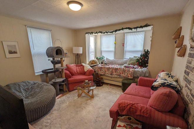 living room - Single family house, 6 rooms, 4 bedrooms, back yard, quiet one-way side street, near the Green Line.